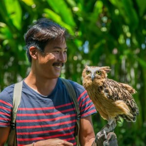Man holding a brown and white owl in a lush green forest during daytime.