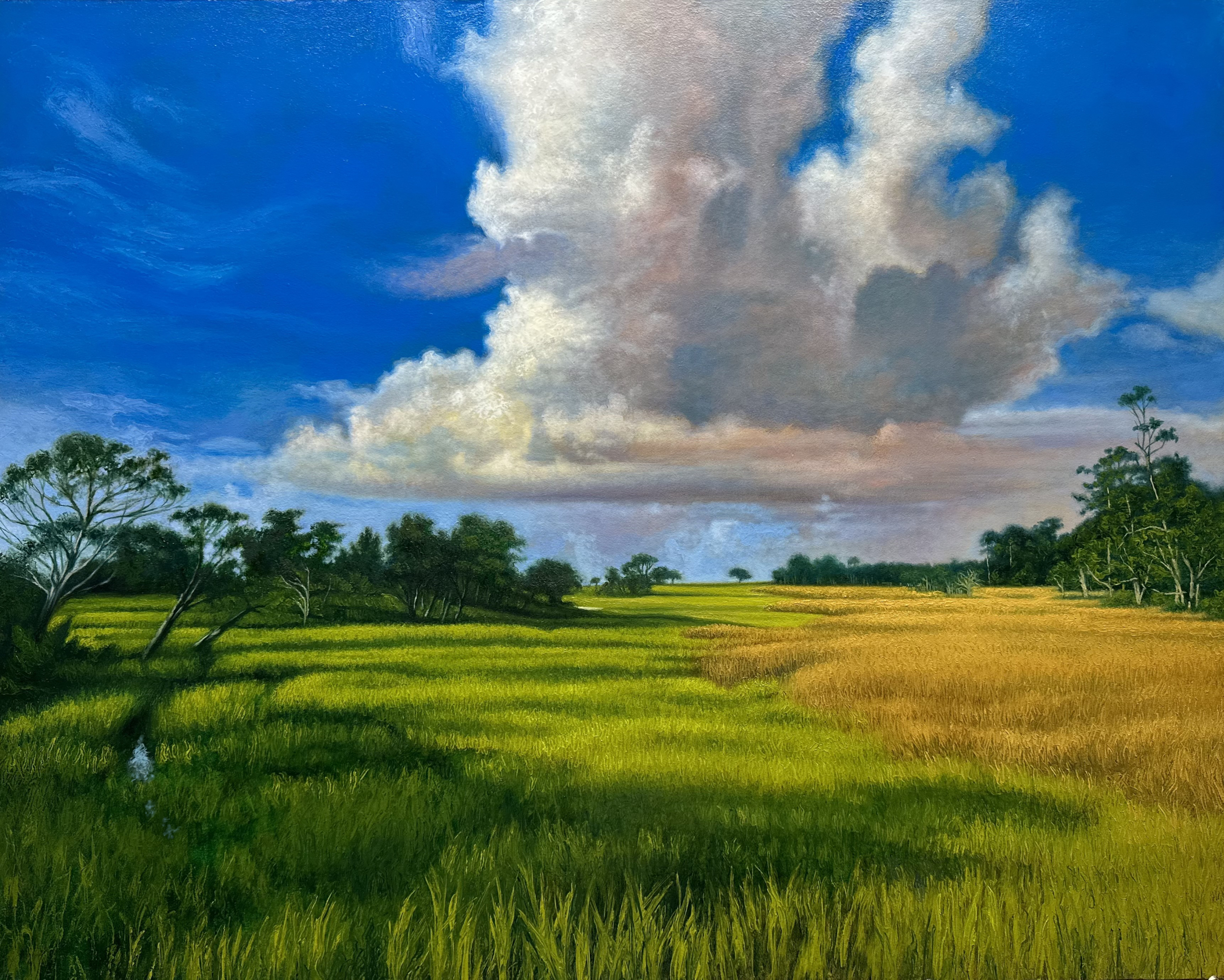 Lush green and golden fields under a vibrant blue sky with dramatic clouds, showcasing serene landscape art at Visual Arts Passage.