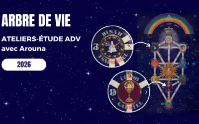 Atelier-étude Arbre de Vie avec Arouna • mai 2026