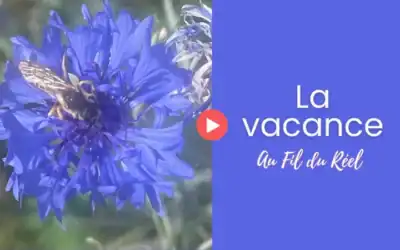 Digestif-vidéo au bulletin de Nouvelle Lune du 14 juillet