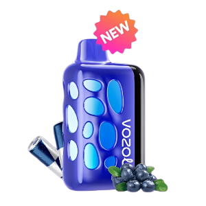 Vozol Rave 40000 Blueberry Storm