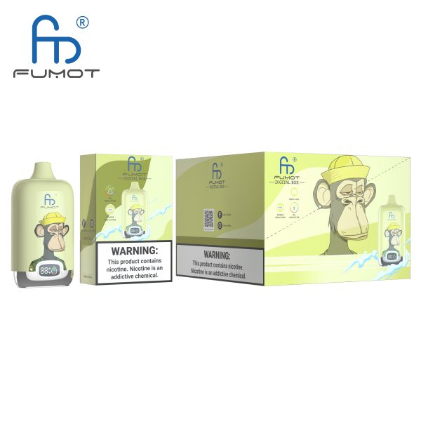 RandM Digital Box 12000 Lemon & Lime Einweg E-Zigarette
