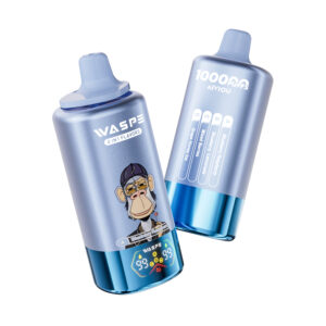 WASPE 4 in 1 100000 Blueberry Raspberry/Blueberry Lemonade/Mixed Berries/Grape Honey Ice