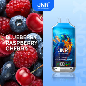 JNR Falcon X 18000 Blueberry Raspberry Cherry