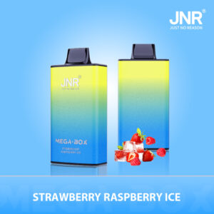 JNR Mega Box 25000 Strawberry Raspberry Ice