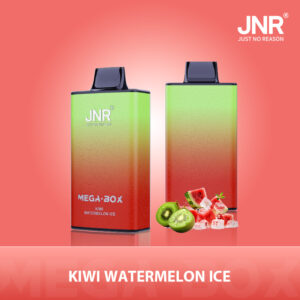 JNR Mega Box 25000 Kiwi Watermelon Ice
