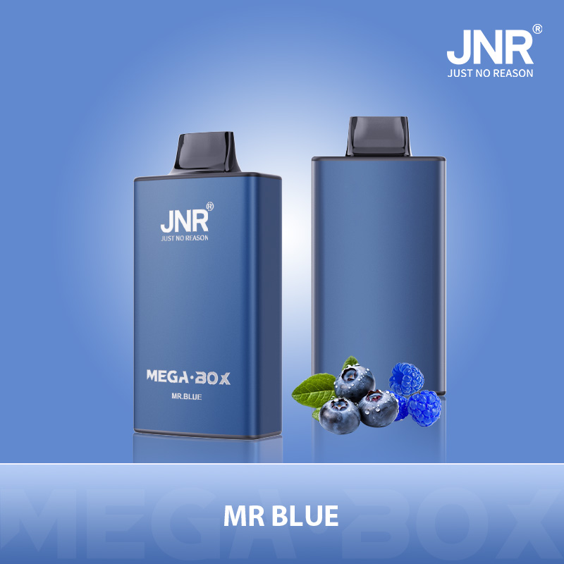 JNR Mega Box 25000 Mr Blue