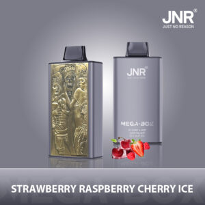JNR Mega Box 25000 Strawberry Raspberry Cherry Ice