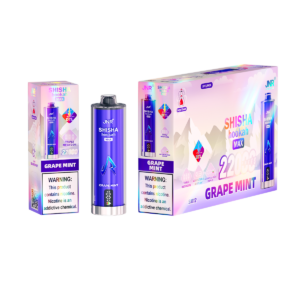 JNR Shisha Max 22000 Grape Mint