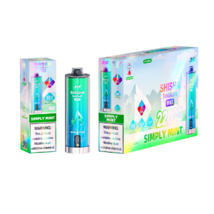 JNR Shisha Max 22000 Simply Mint