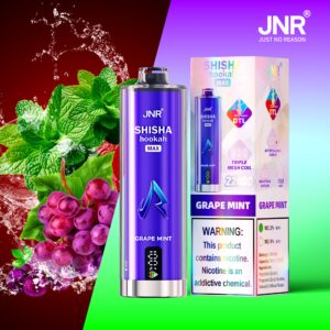 JNR Shisha Max 22000 Grape Mint