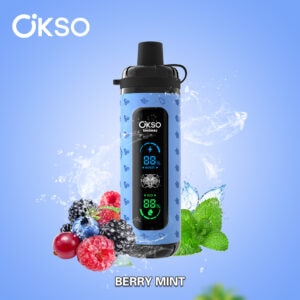 OKSO Shisha Max 40000 Berry Mint