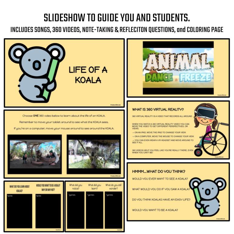Koala Virtual Field Trip - Image 3
