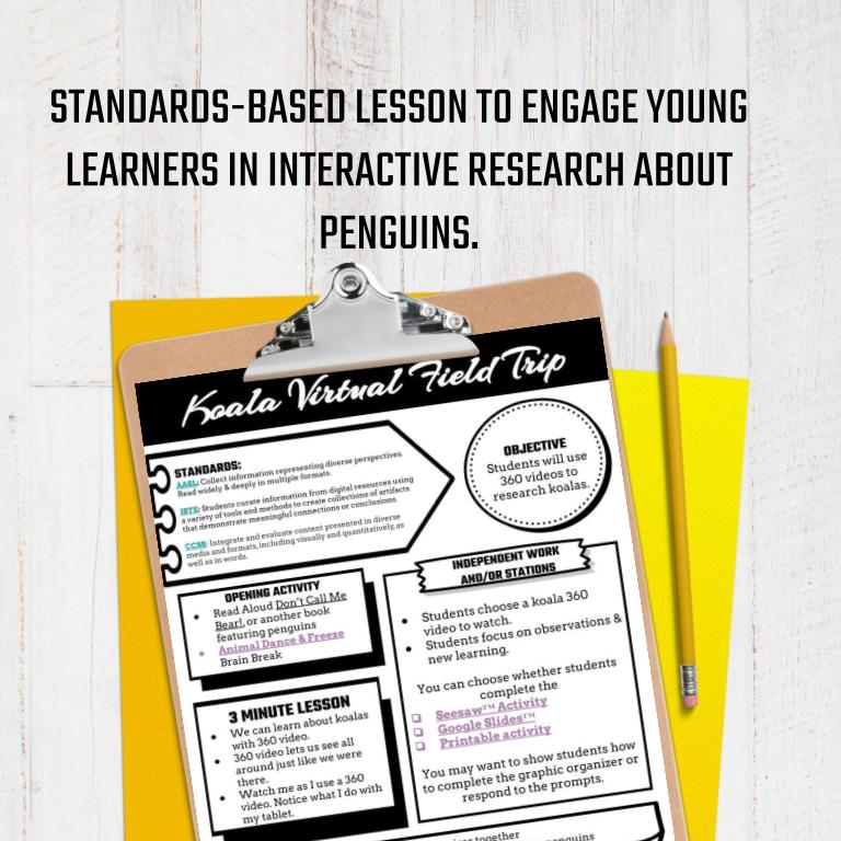 Koala Virtual Field Trip - Image 4