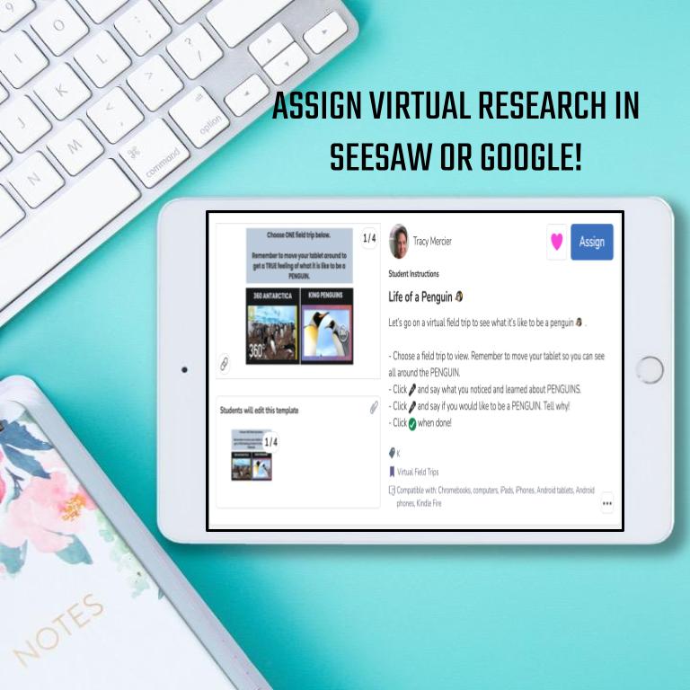 Penguin Virtual Field Trip - Image 2