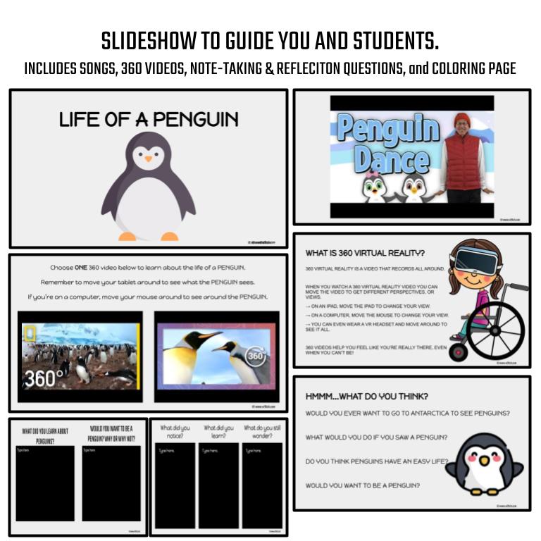 Penguin Virtual Field Trip - Image 3
