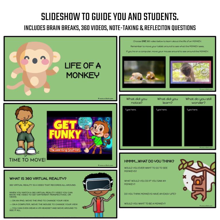 Monkey Virtual Field Trip - Image 3