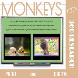 Monkey Virtual Field Trip
