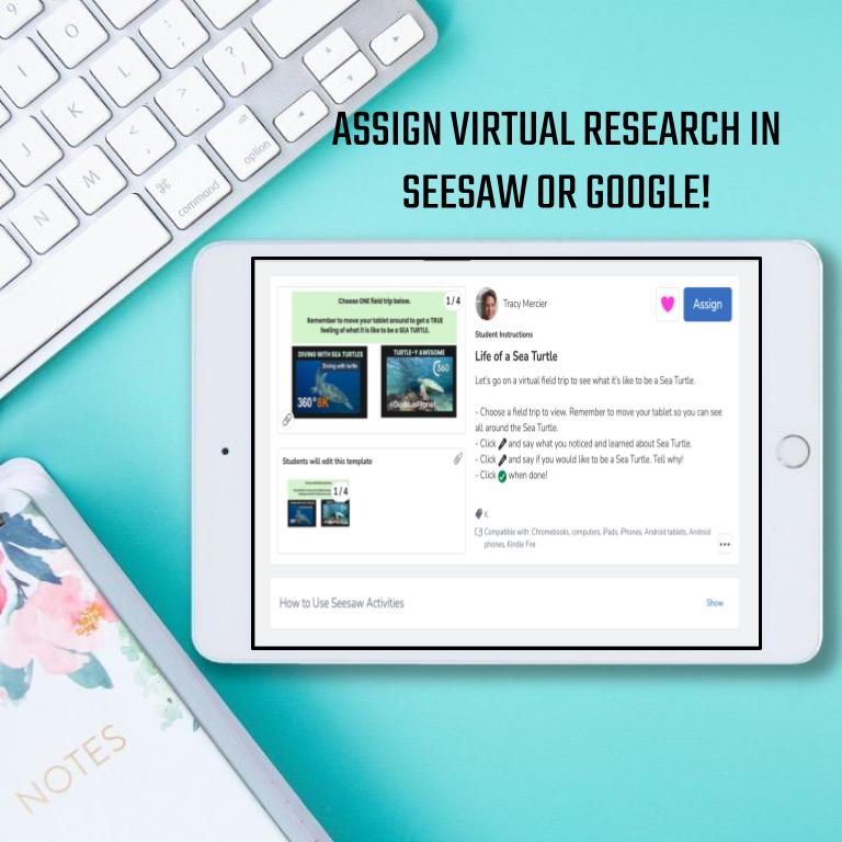 Sea Turtle Virtual Field Trip - Image 2