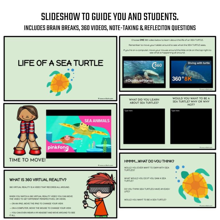 Sea Turtle Virtual Field Trip - Image 3