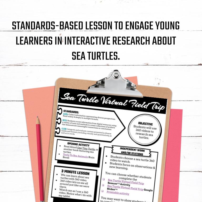 Sea Turtle Virtual Field Trip - Image 4