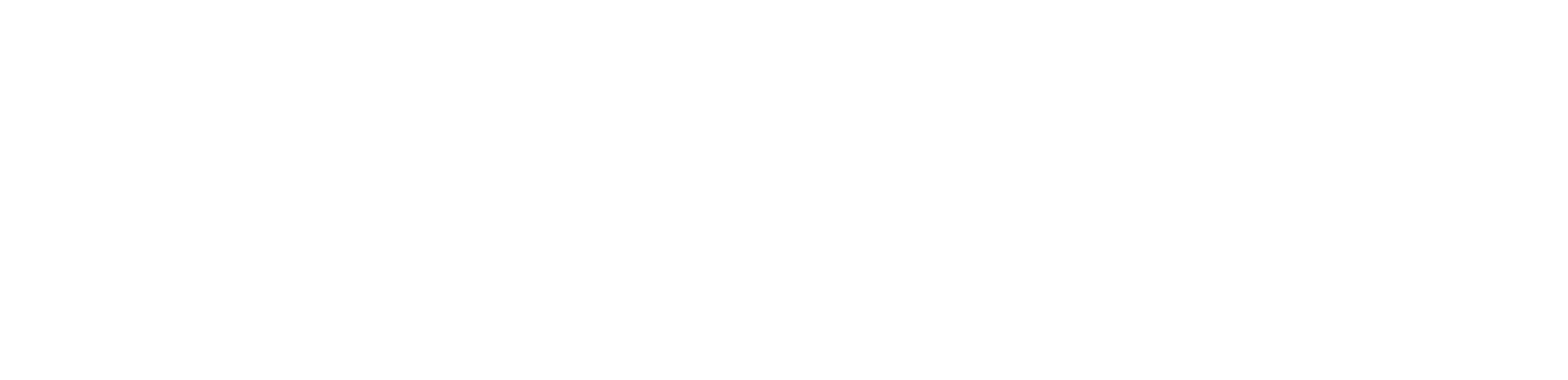 logo-w-2