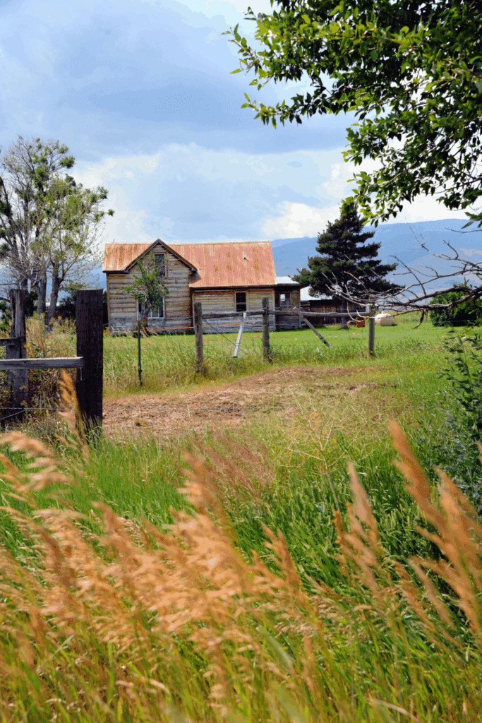 Homesteading