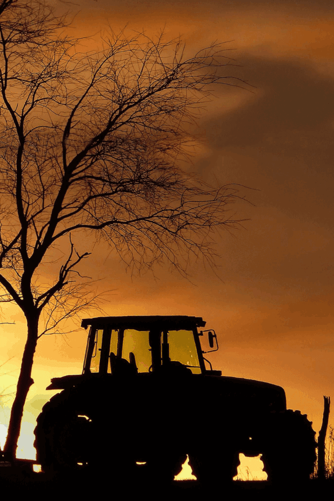 Can homesteading be profitable