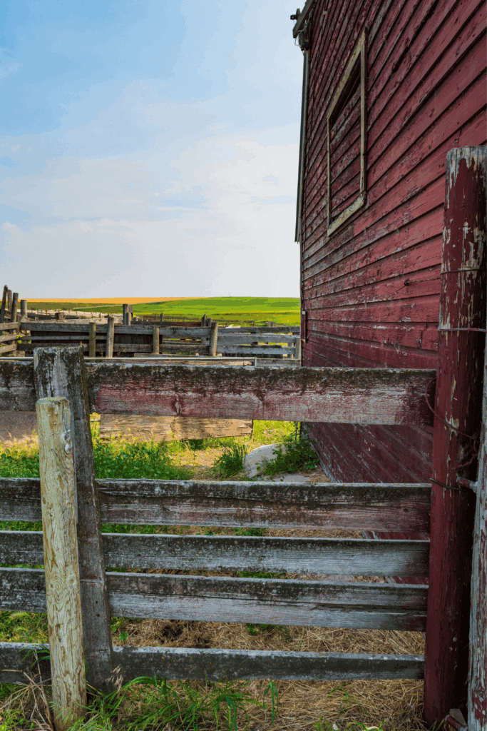 Common homesteading mistakes