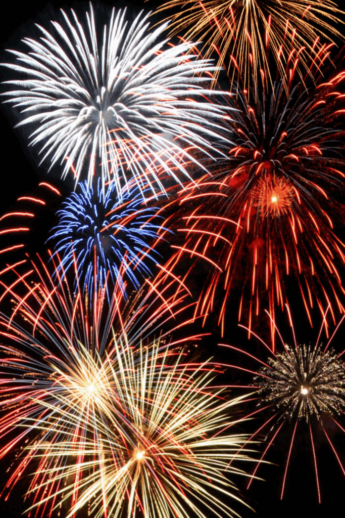 Fireworks and farm animals