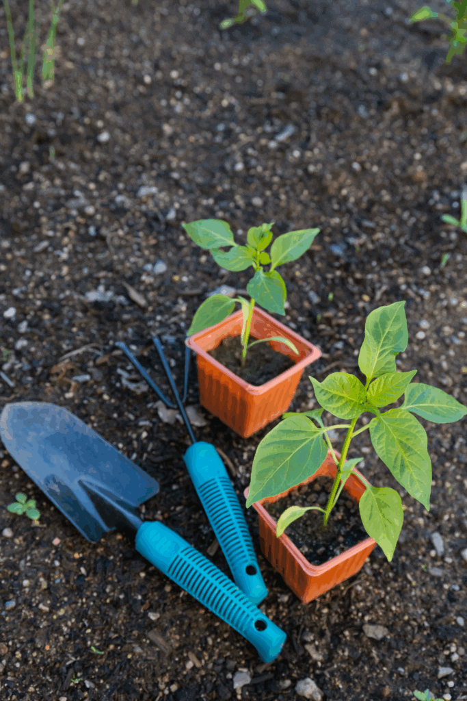 Basic gardening skills