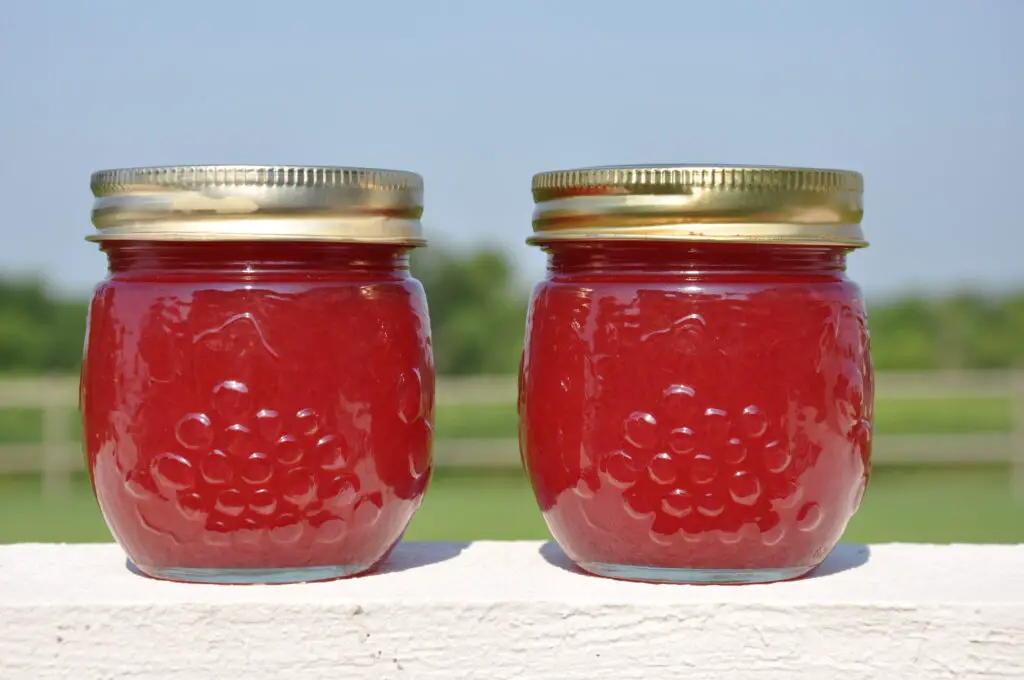 Sand plum jam
