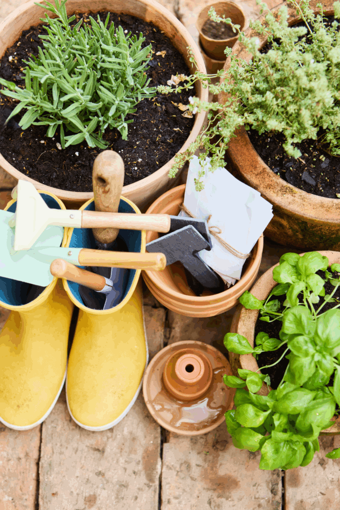 Herb gardening tools