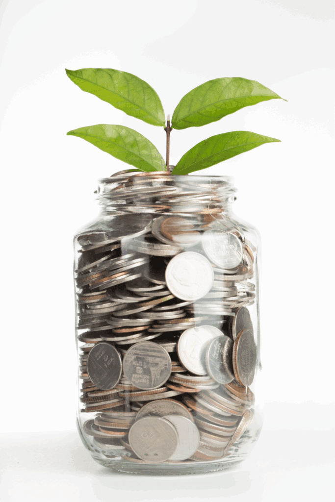 Budgeting for your homestead