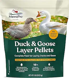 Can You Raise Geese In Your Backyard? 7 81edvpmvszl. Ac sx300 sy300 ql70 fmwebp