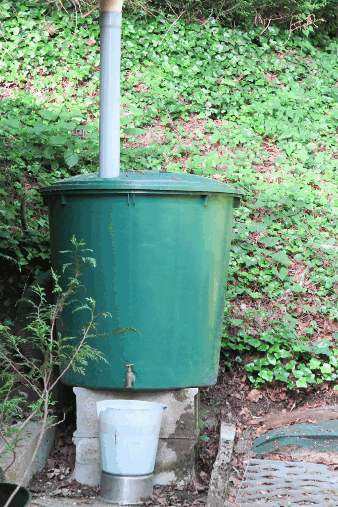 Rainwater harvesting