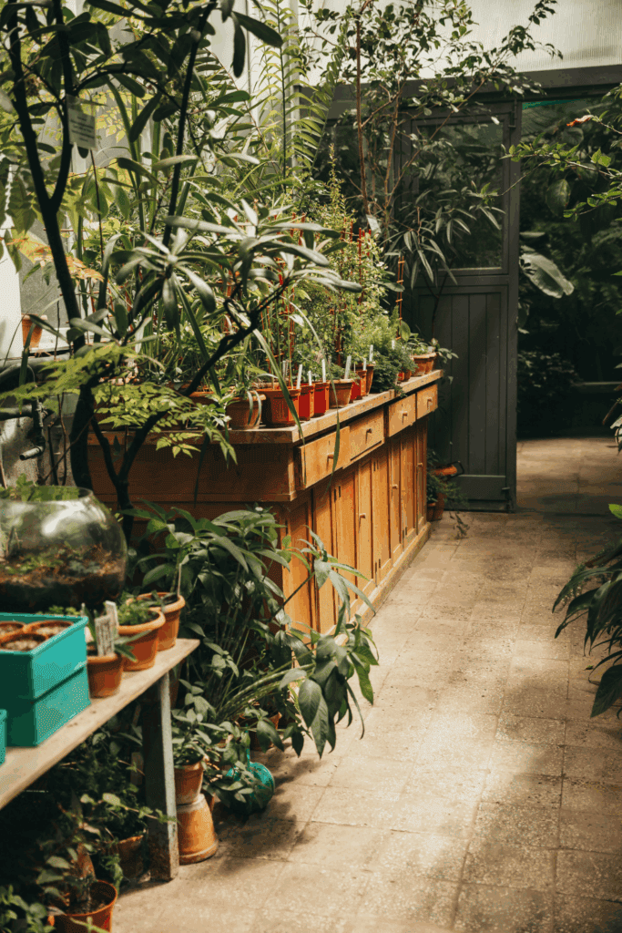 Gardening in partial of full shade