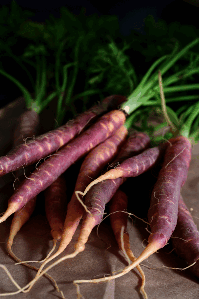 Growing heirloom vegetables
