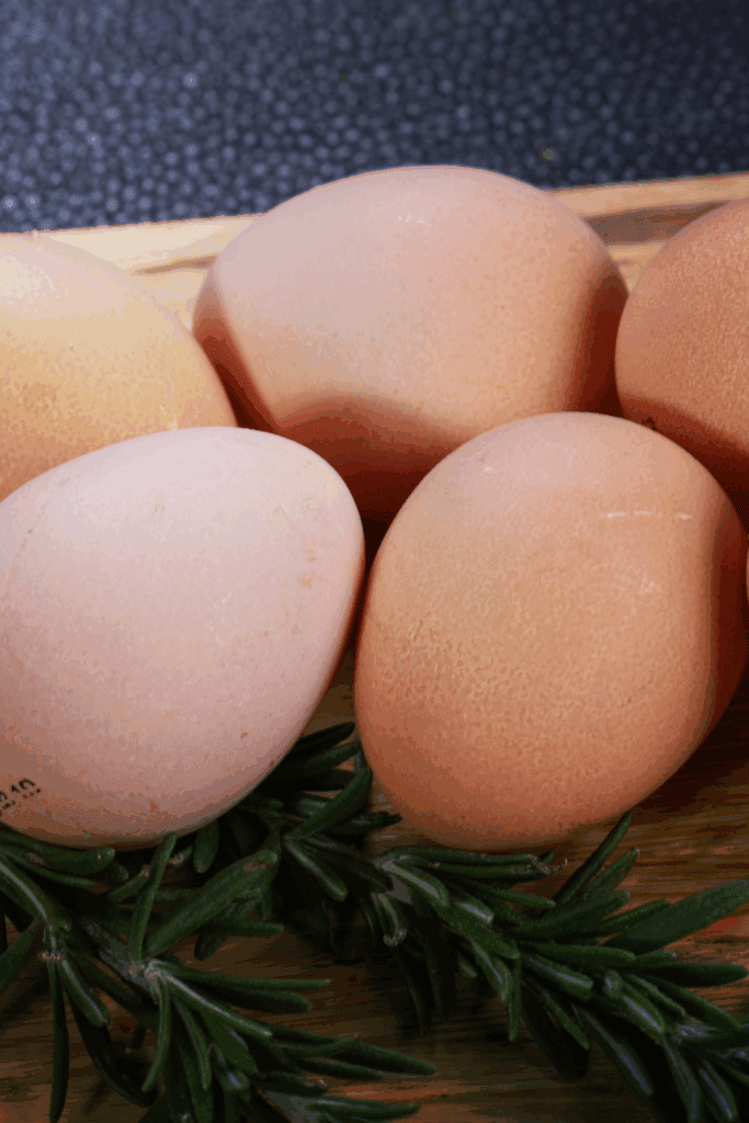 When do guineas start laying eggs