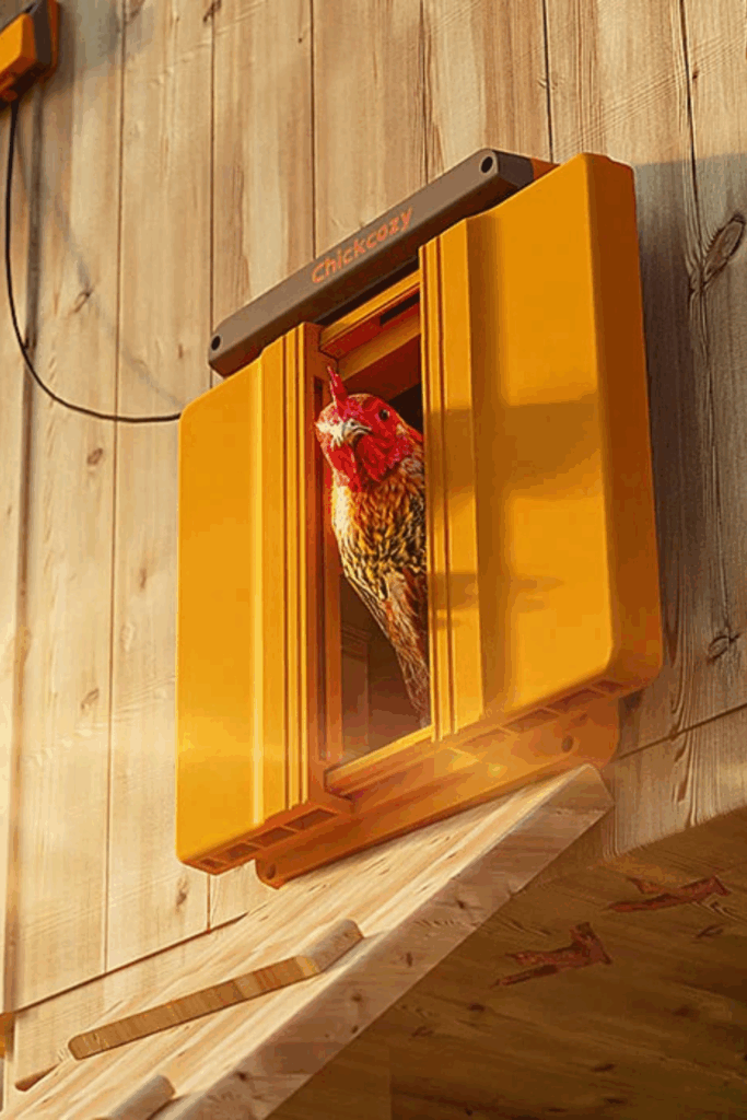 Solar automatic chicken door