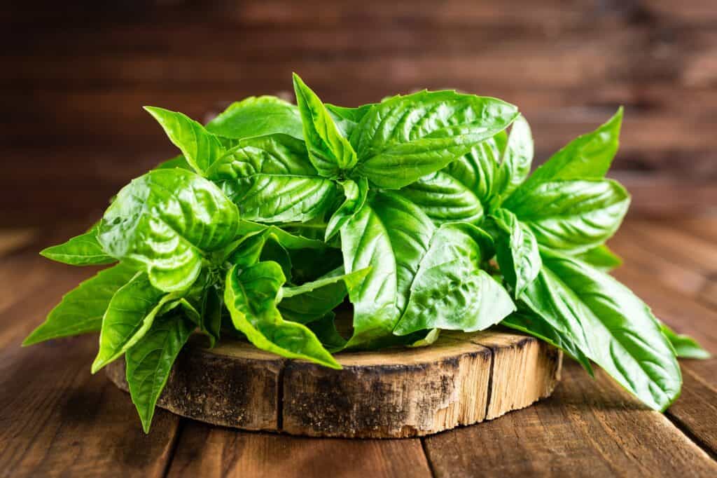 The Best Windowsill Plants For A Productive Kitchen Garden 3 Basil