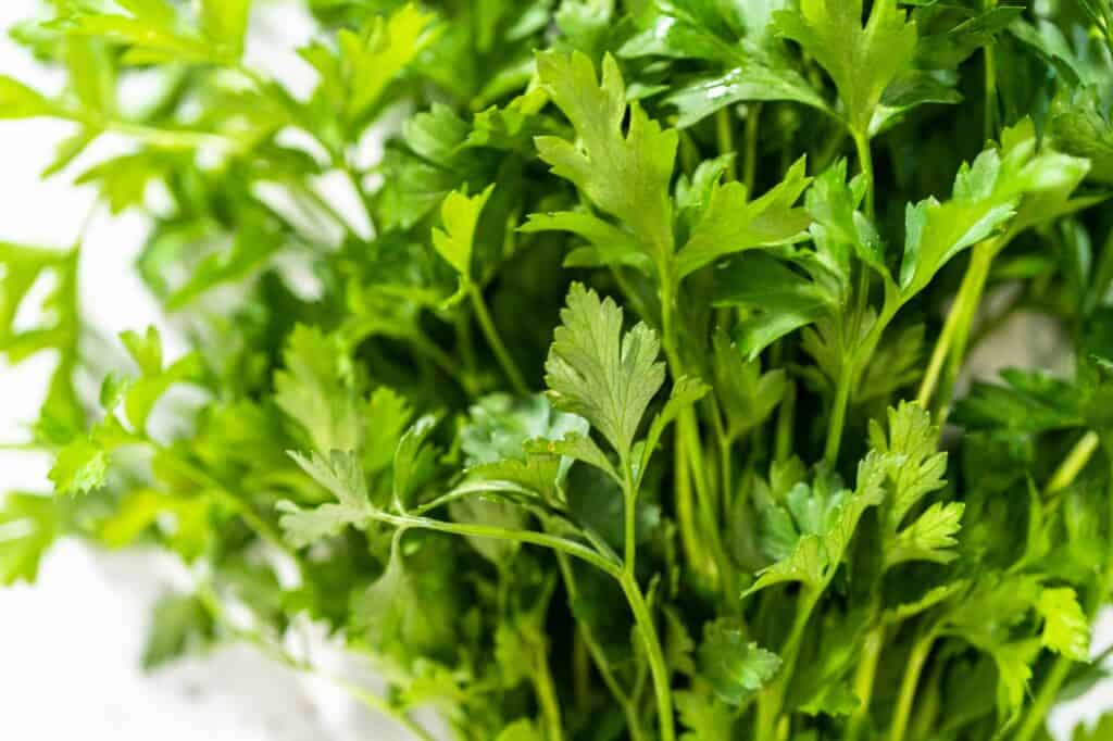 The Best Windowsill Plants For A Productive Kitchen Garden 4 Fresh parsley