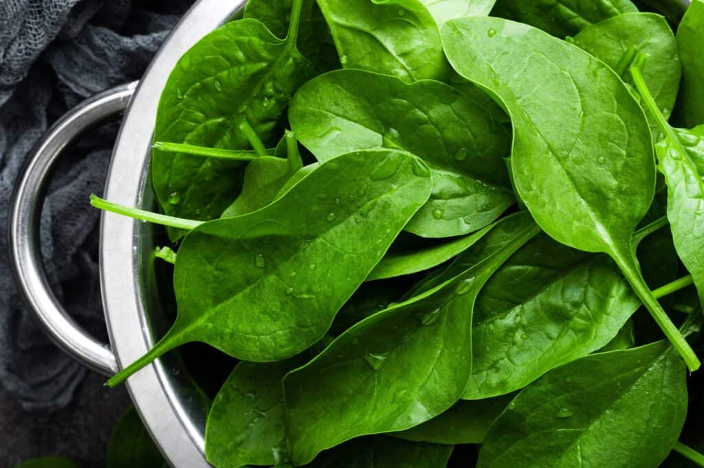 The Best Windowsill Plants For A Productive Kitchen Garden 9 Spinach. Fresh spinach leaves