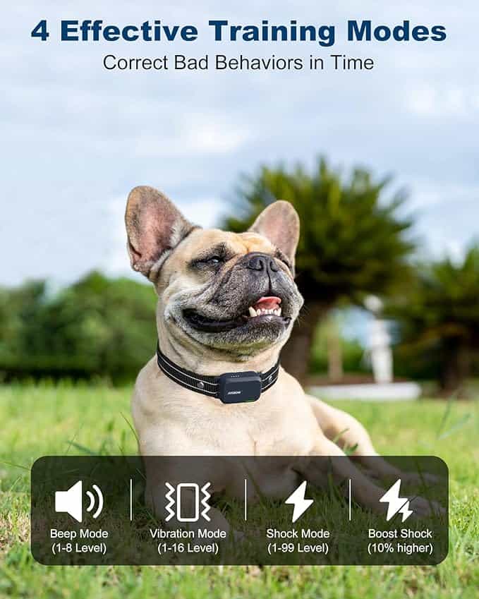Jugbow dog training collars