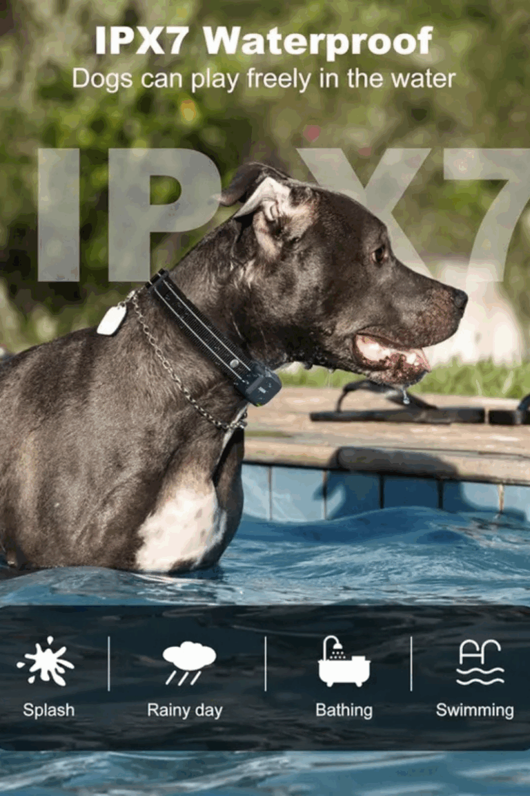 Jugbow dog training collars