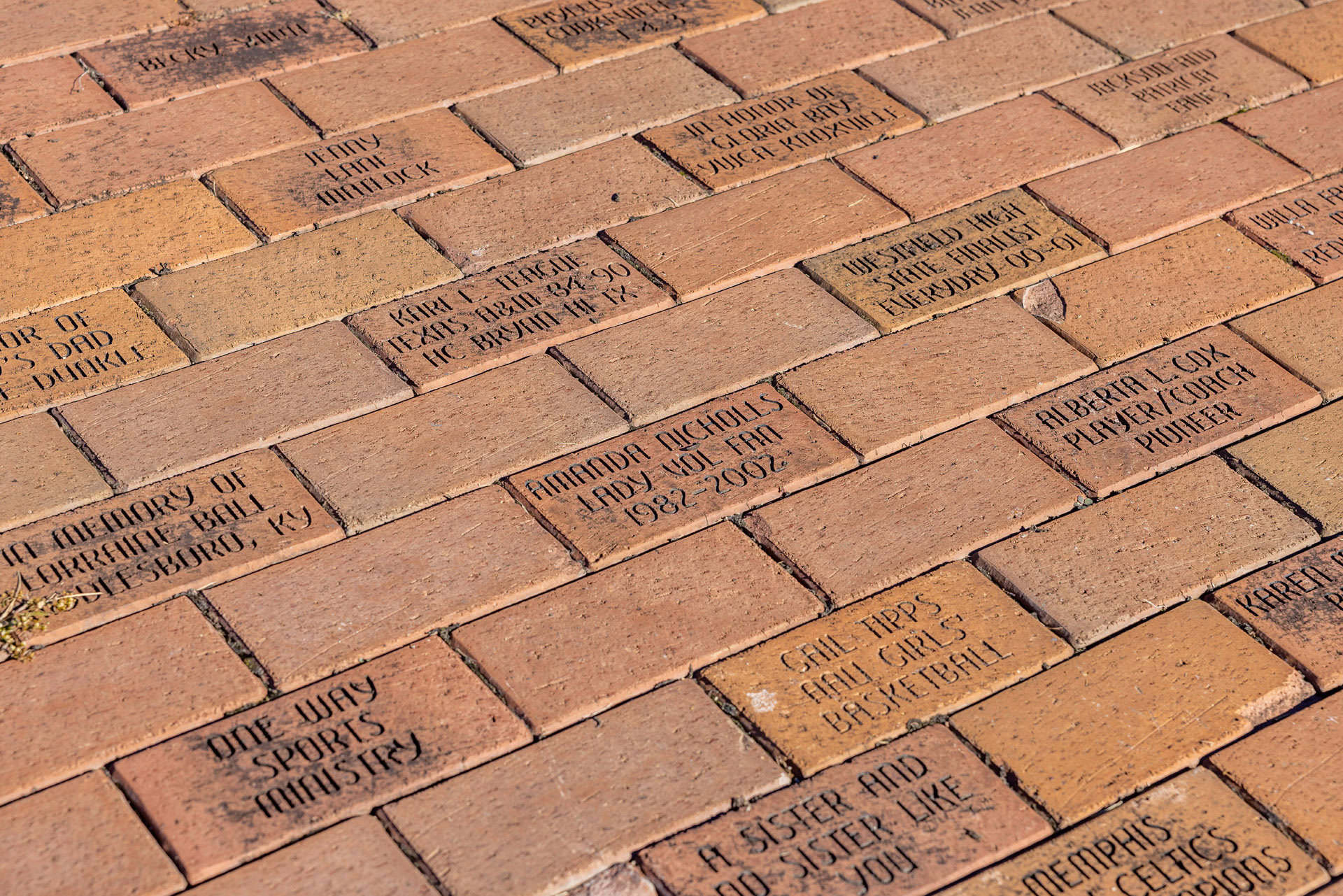 A group of bricks adorned with words, available for donation. A group of bricks adorned with words, available for donation.