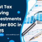 Best Tax Saving Investments Under 80C in 2025