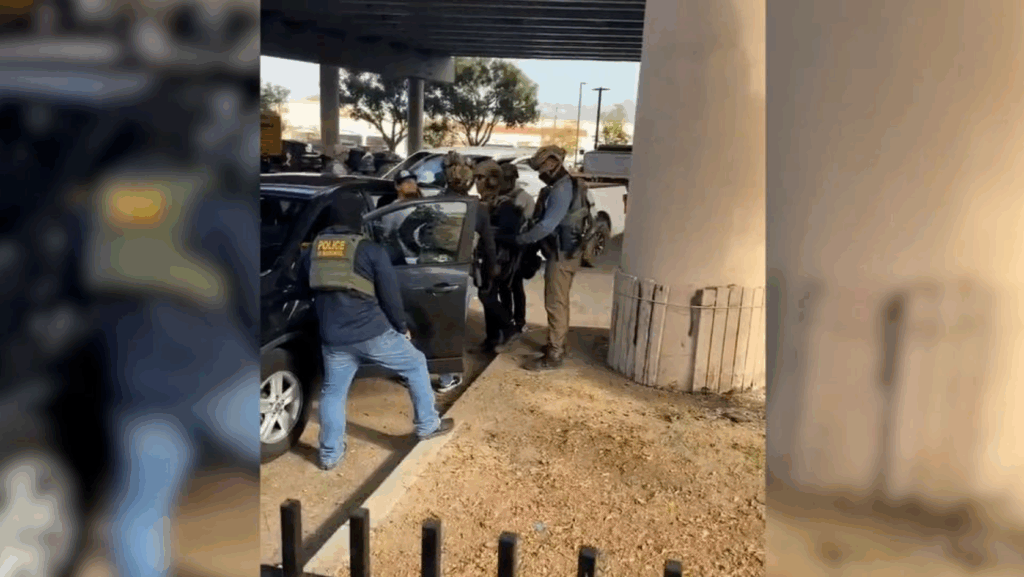 ICE Detains Brazilian Mother — and a Surprising White House Family Connection Emerges