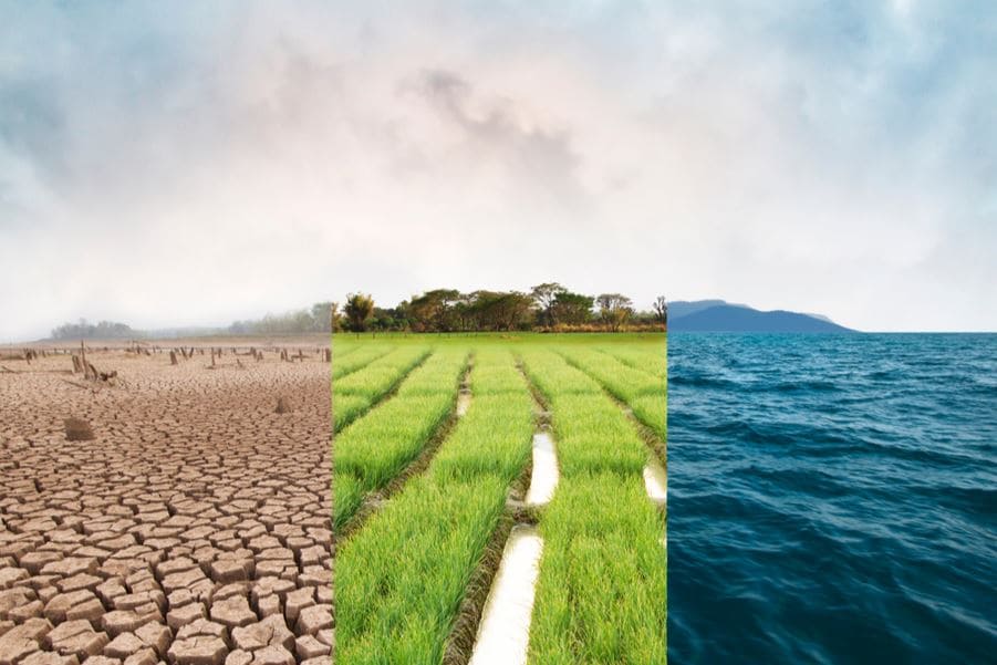 Climate Change Impacts Global Food Systems
