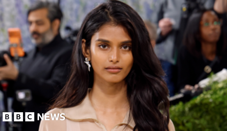 Indian Model Makes Understated Met Gala Debut